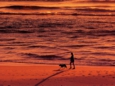 Australia03.jpg