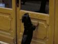 Paris02.jpg