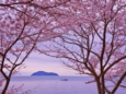 kohoku_18.jpg