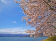 kohoku_16.jpg