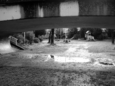 991262.jpg