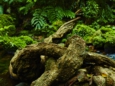 4_72C7787.jpg